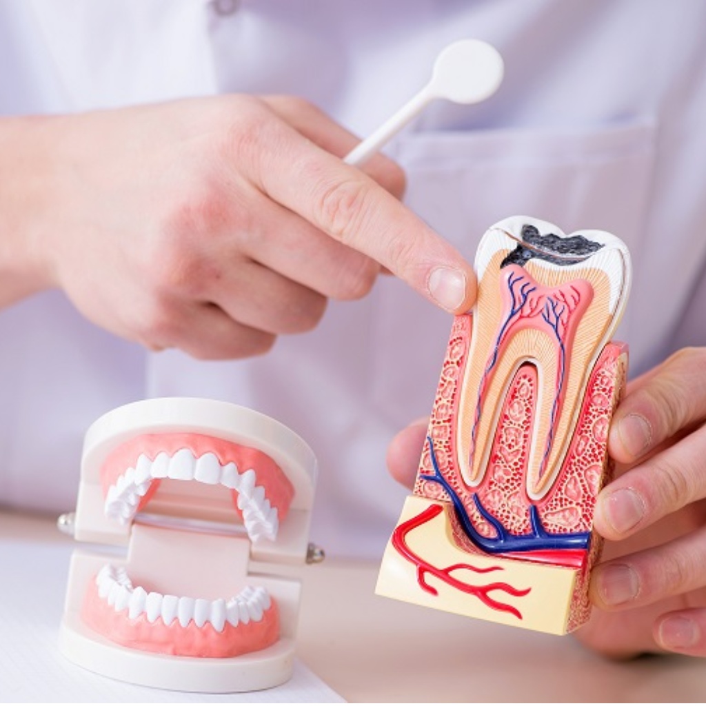 Endodonzia